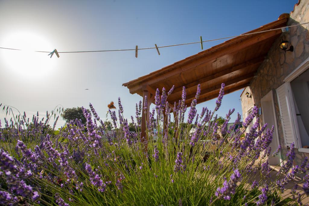 Apartamento Krcina *