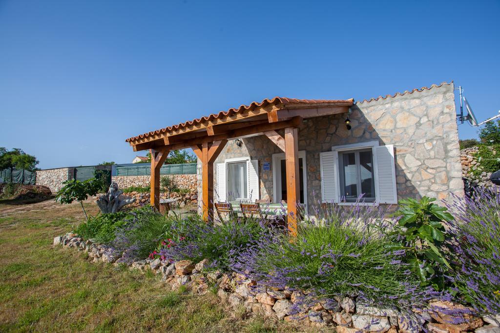 Apartamento Krcina Cres